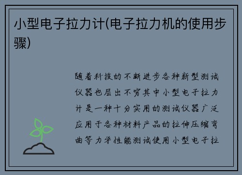 小型电子拉力计(电子拉力机的使用步骤)